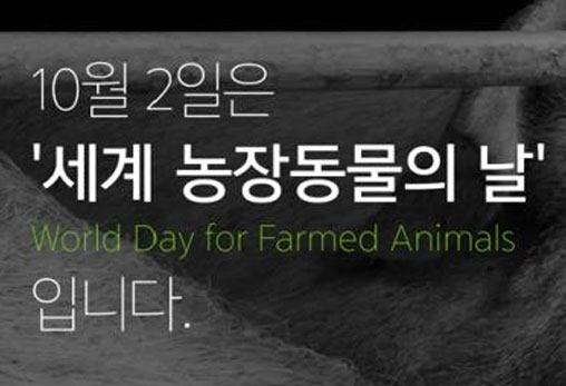 10월 2일 세계 농장동물의 날 '약속' 캠페인에 동참해 주세요! 