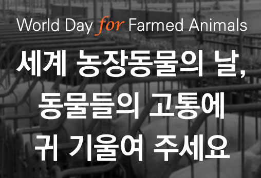 [카드뉴스] 세계 농장동물의 날, 동물들의 고통에 귀 기울여 주세요