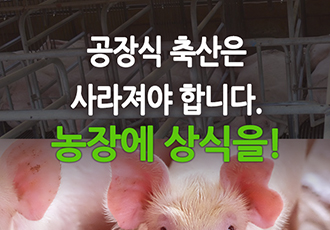 [카드뉴스] 7월 11일 세계 인구의 날 x 농장동물 