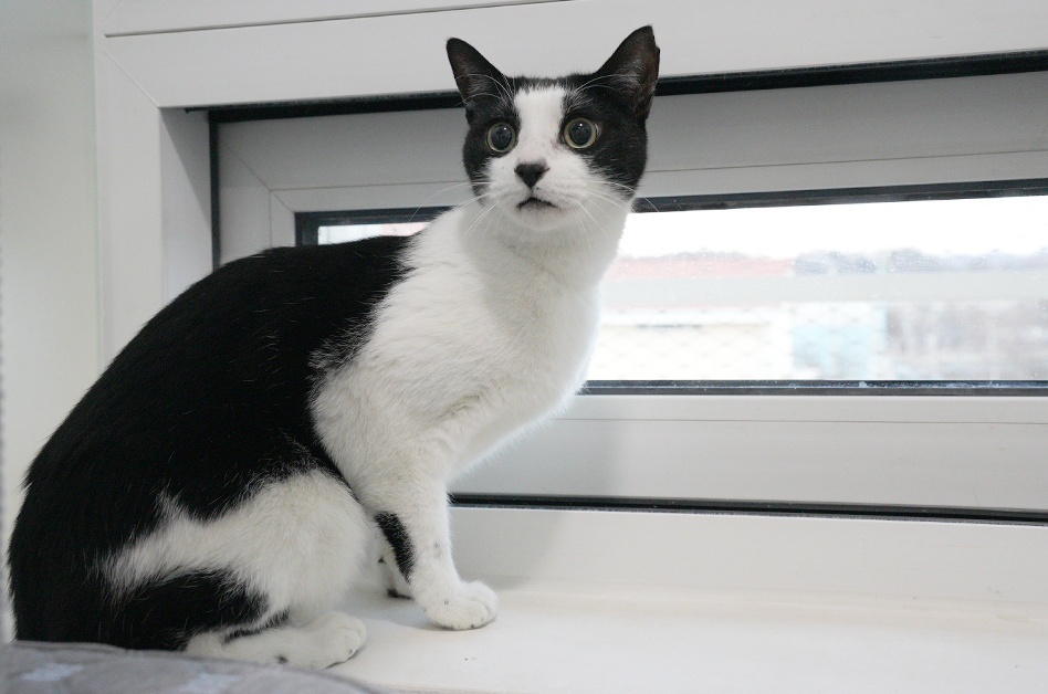 호기심 가득한 눈, 사랑을 기다리는 결이