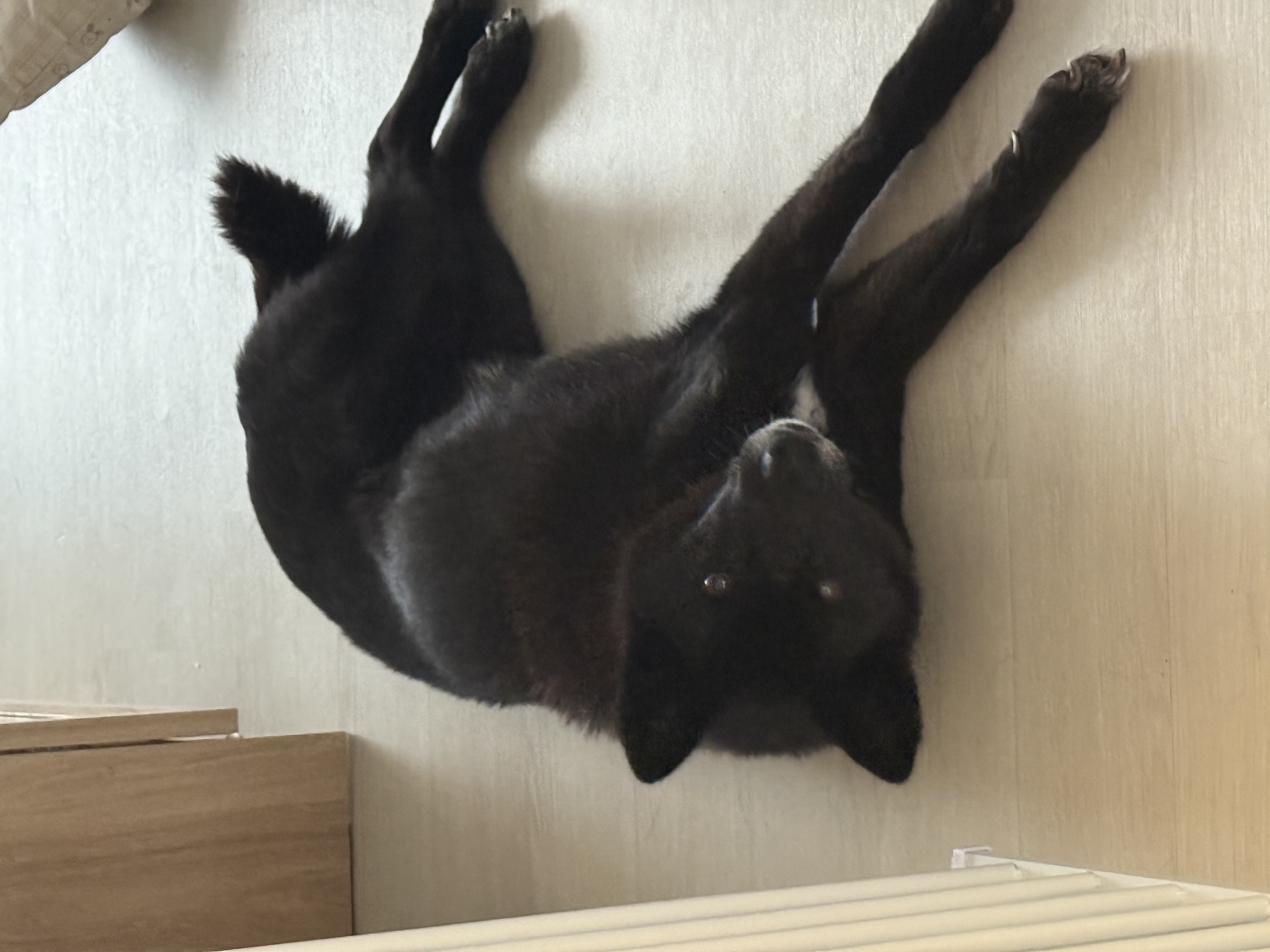 반달이 이쁘게 봐주세요