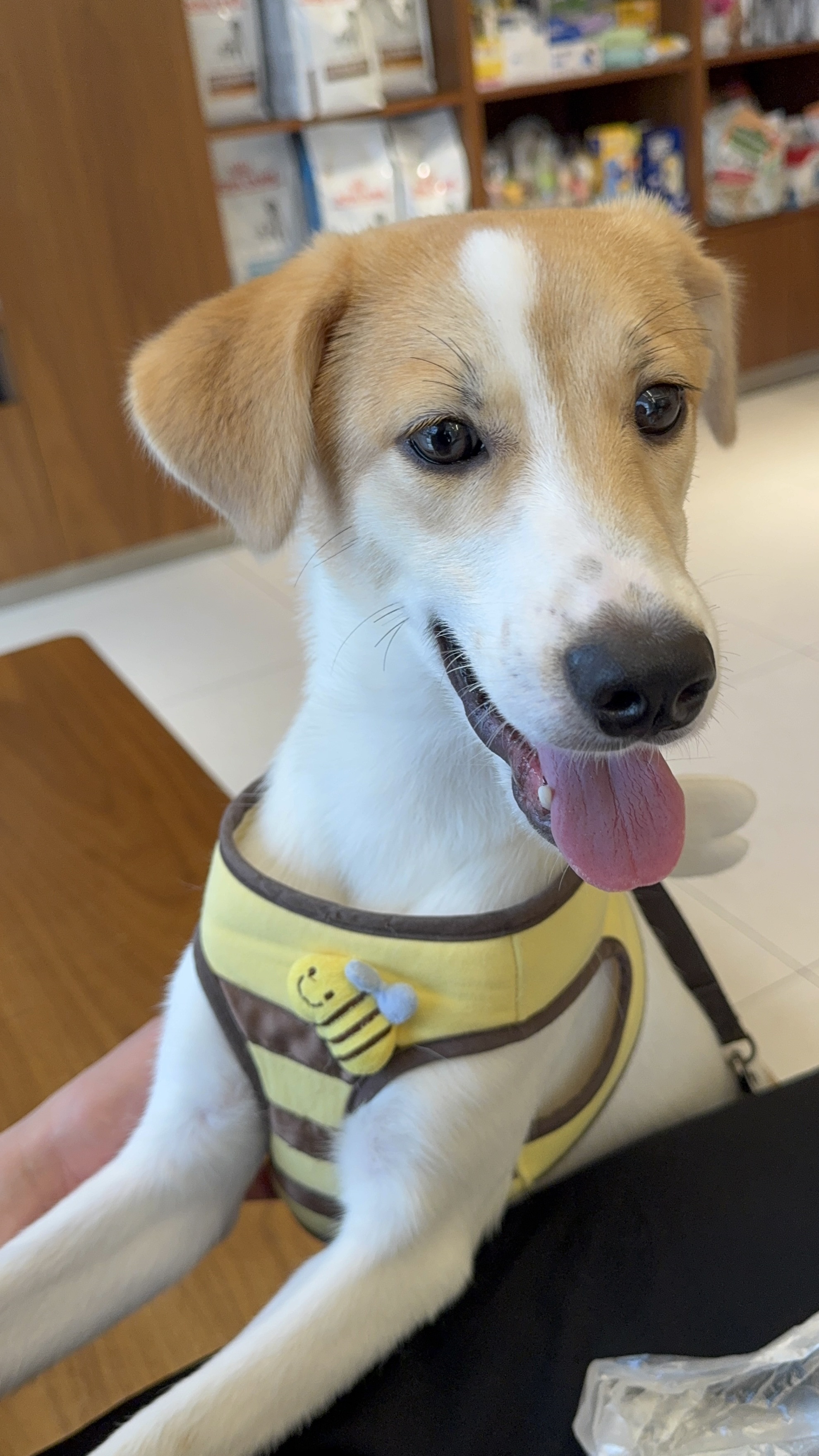 모디 일상을 공유해드려요