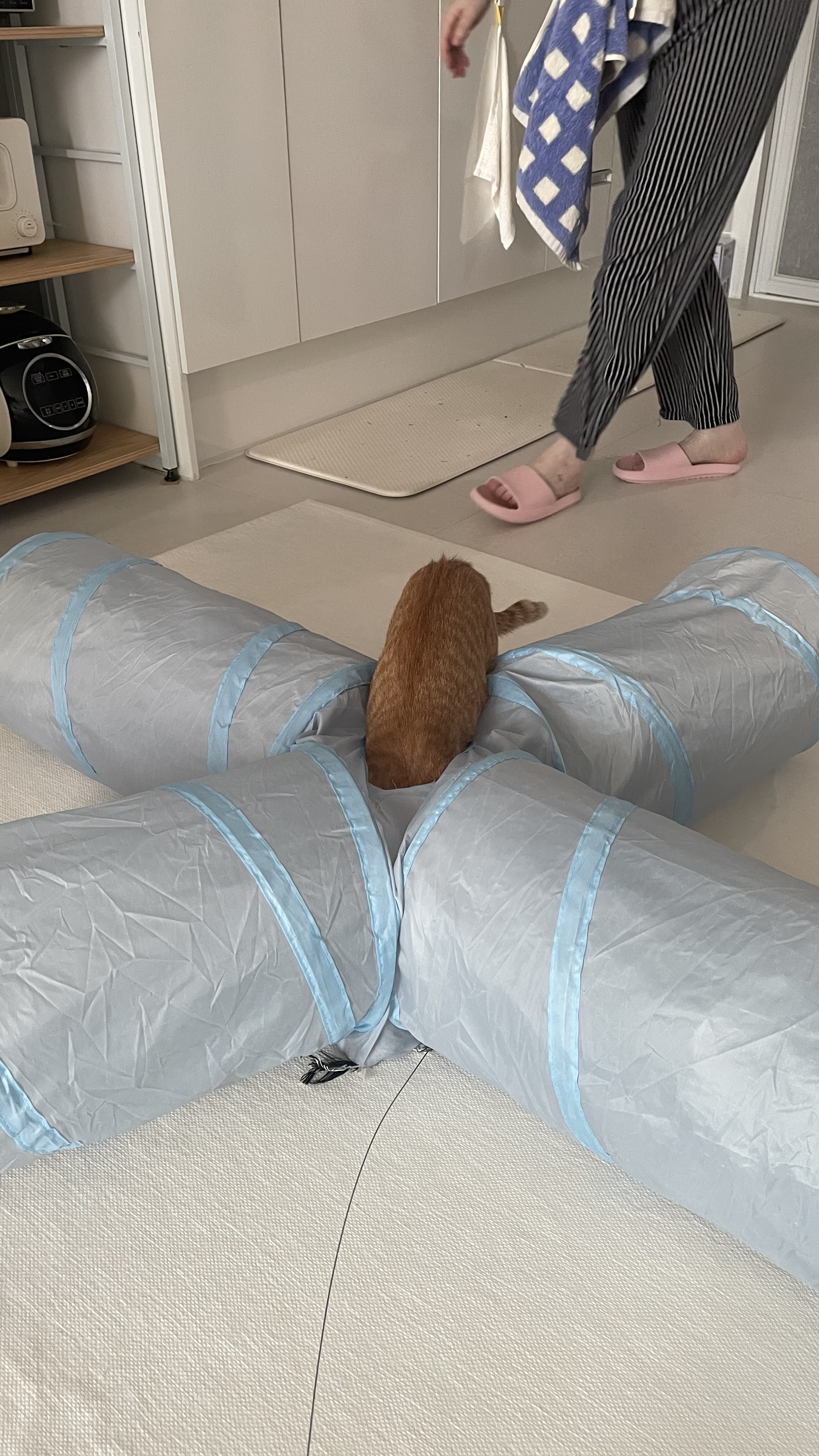 다해(현재 금비) 한달 후기