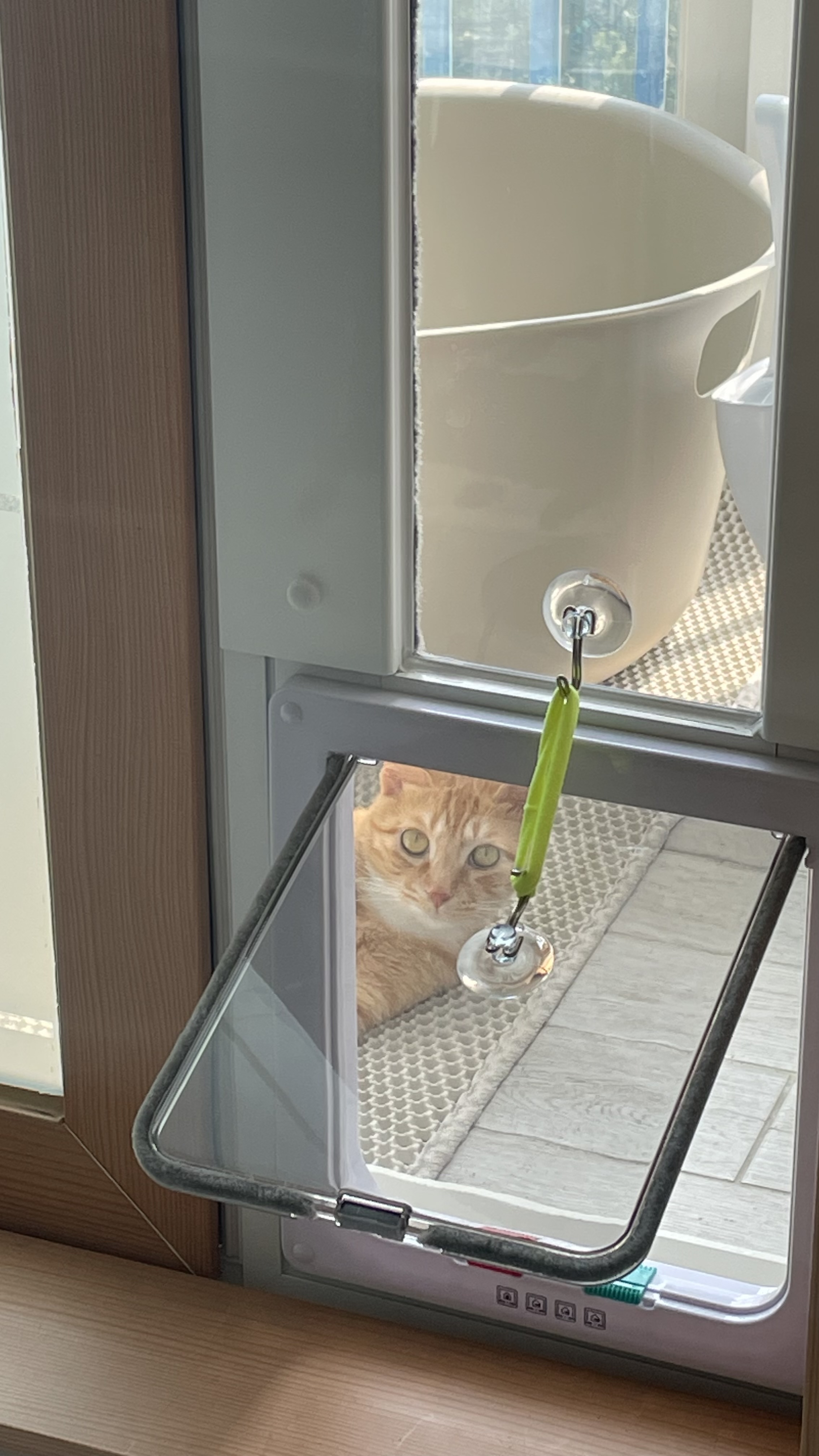 금비(다해) 일주일 후기