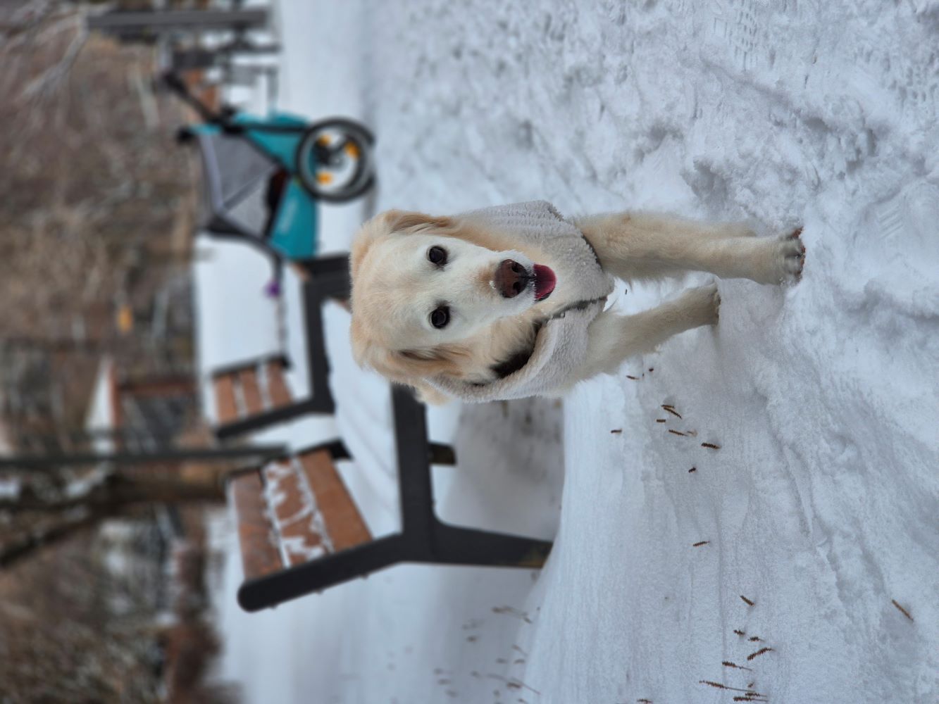 (호박) 호박이가 혼자 소풍을 떠났습니다.