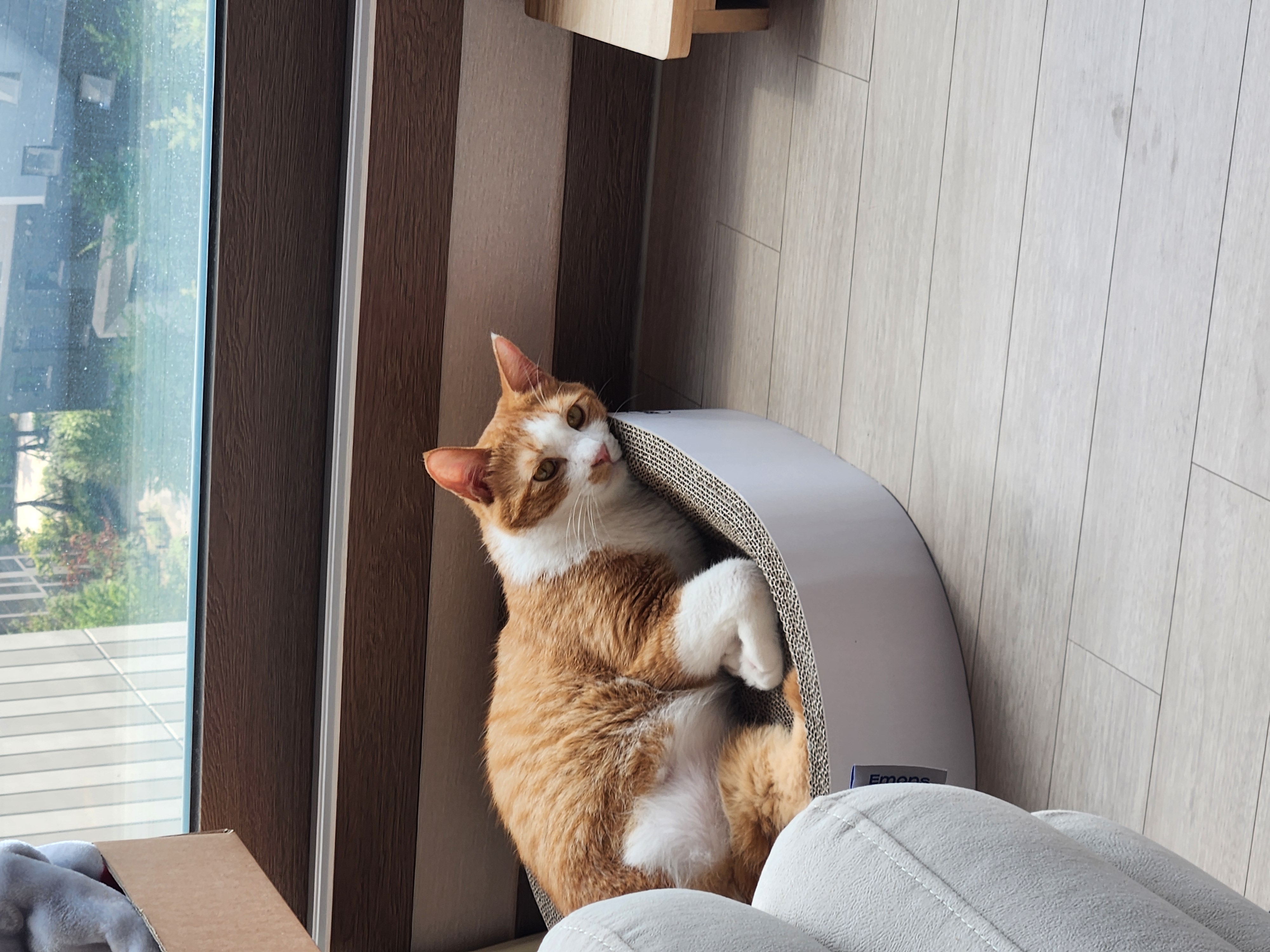 오들이와 함께한 3달 