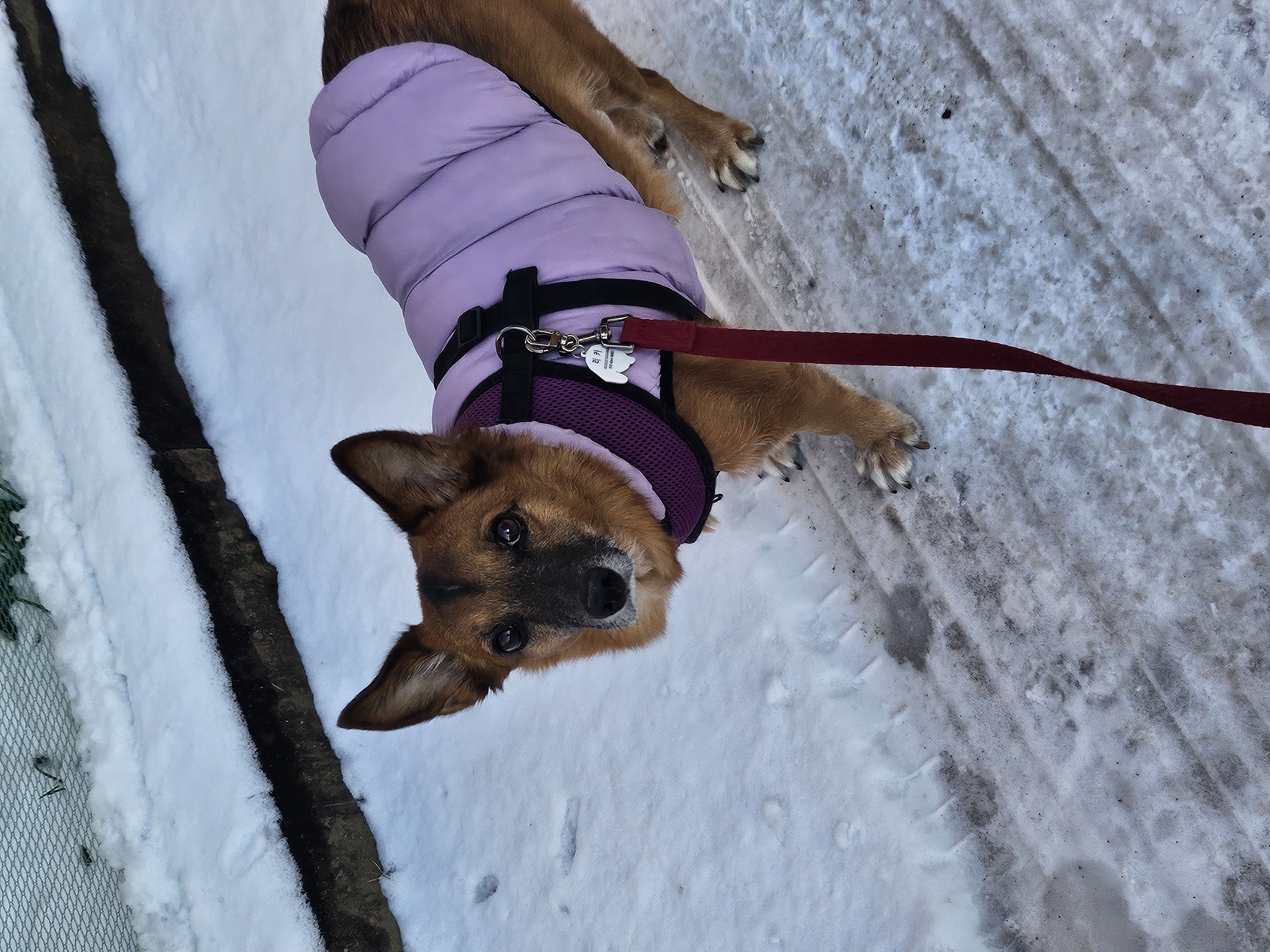 리카 새해인사드립니다.