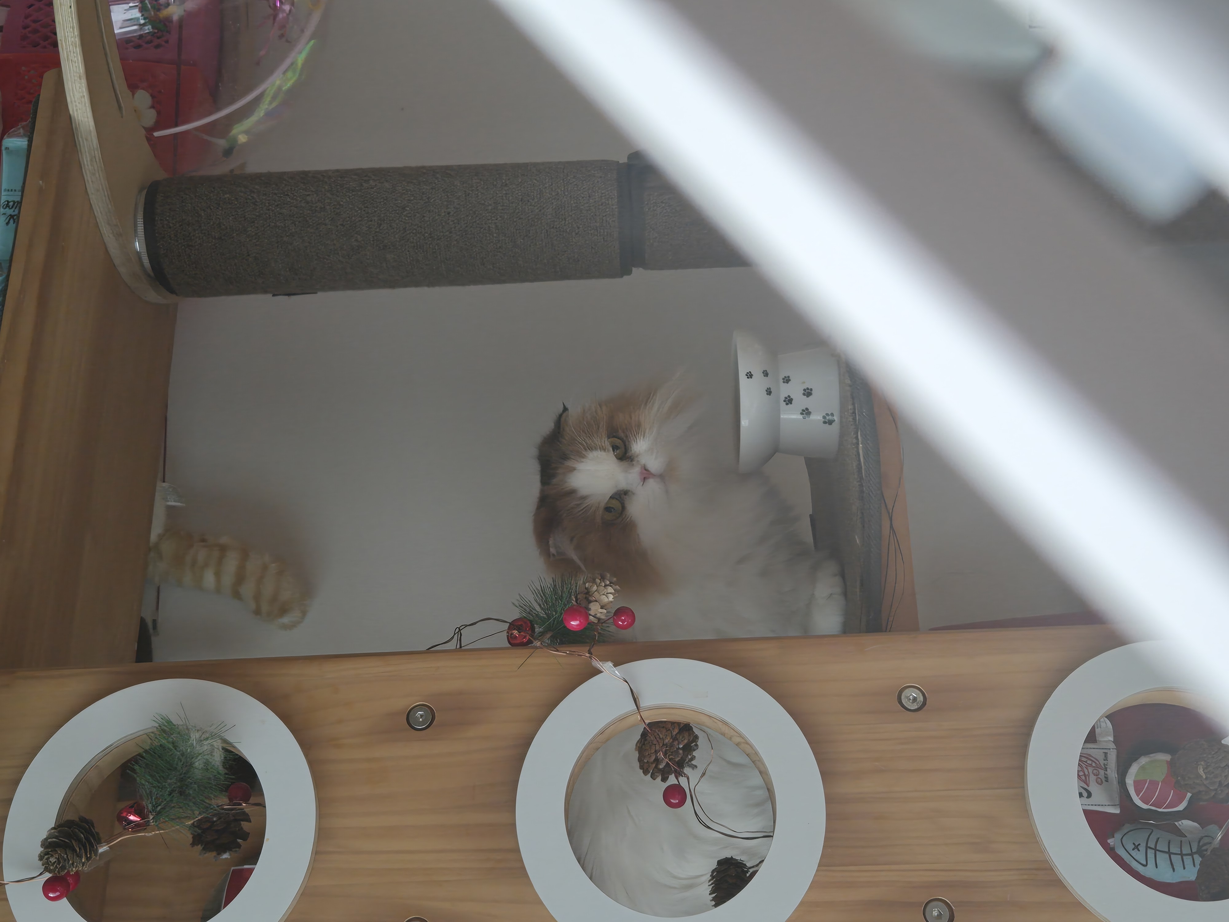 크룩섕스(알코) 1주년♡