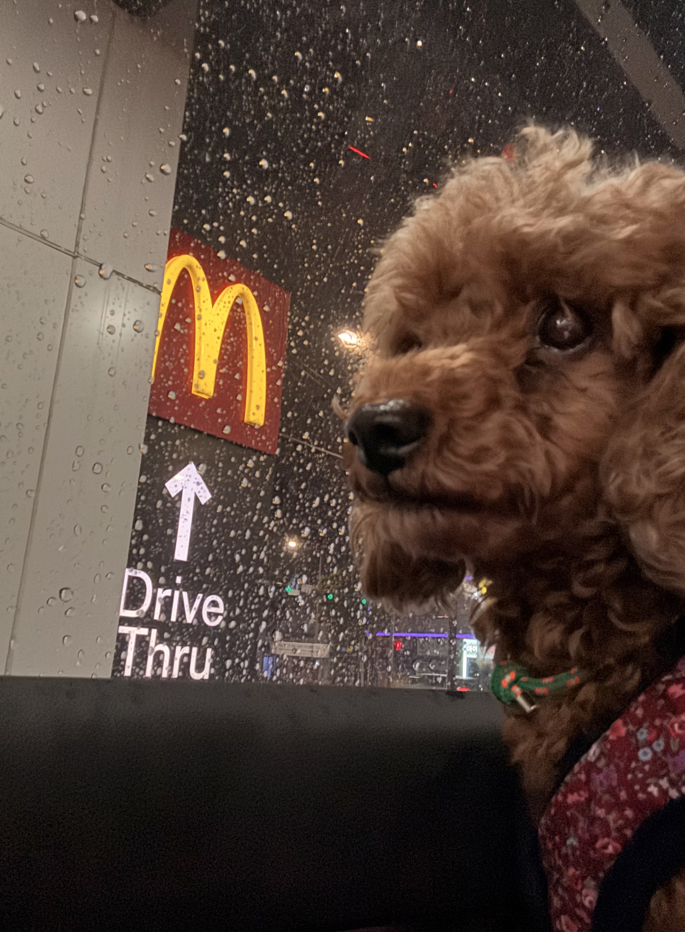 보사의 3개월 후기 