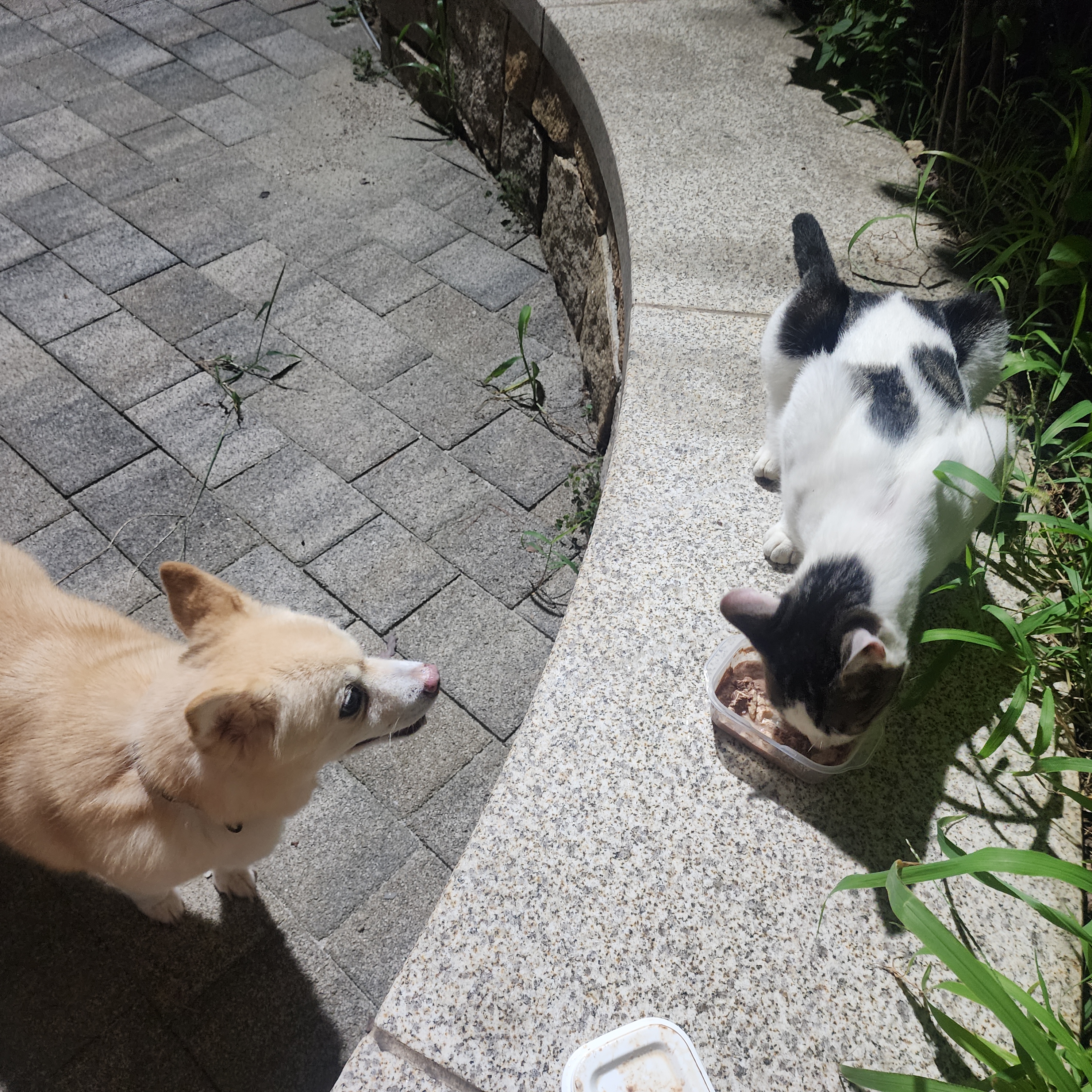 해피추석! 오랜만에 레이입니다:)