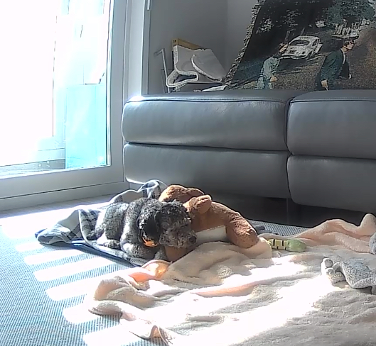 1주일 | 보미의 적응기