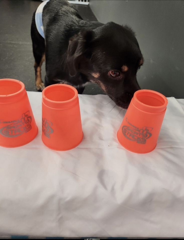 두양이 잘지내고 있습니다~