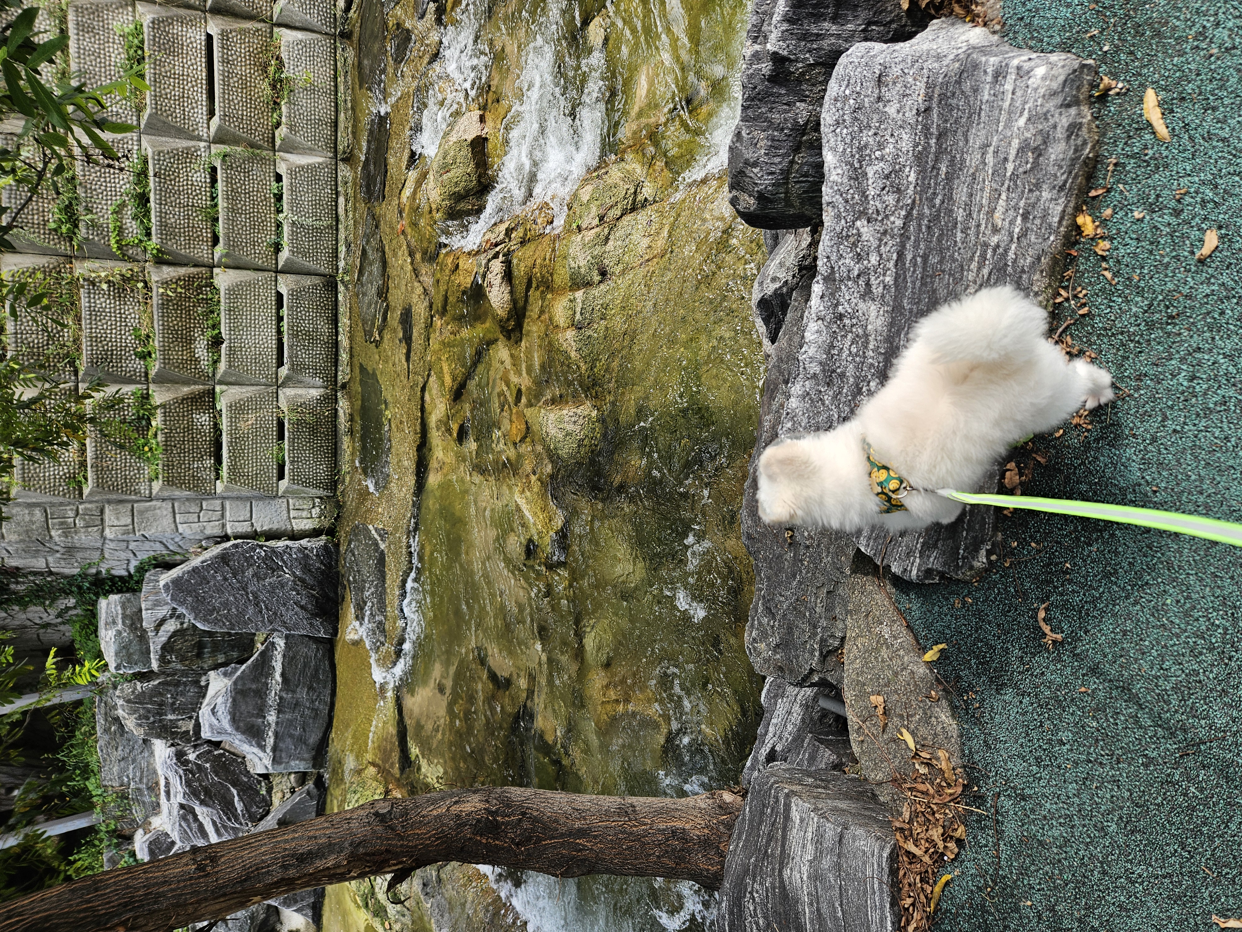 나루(구 빙봉) 일주차 후기