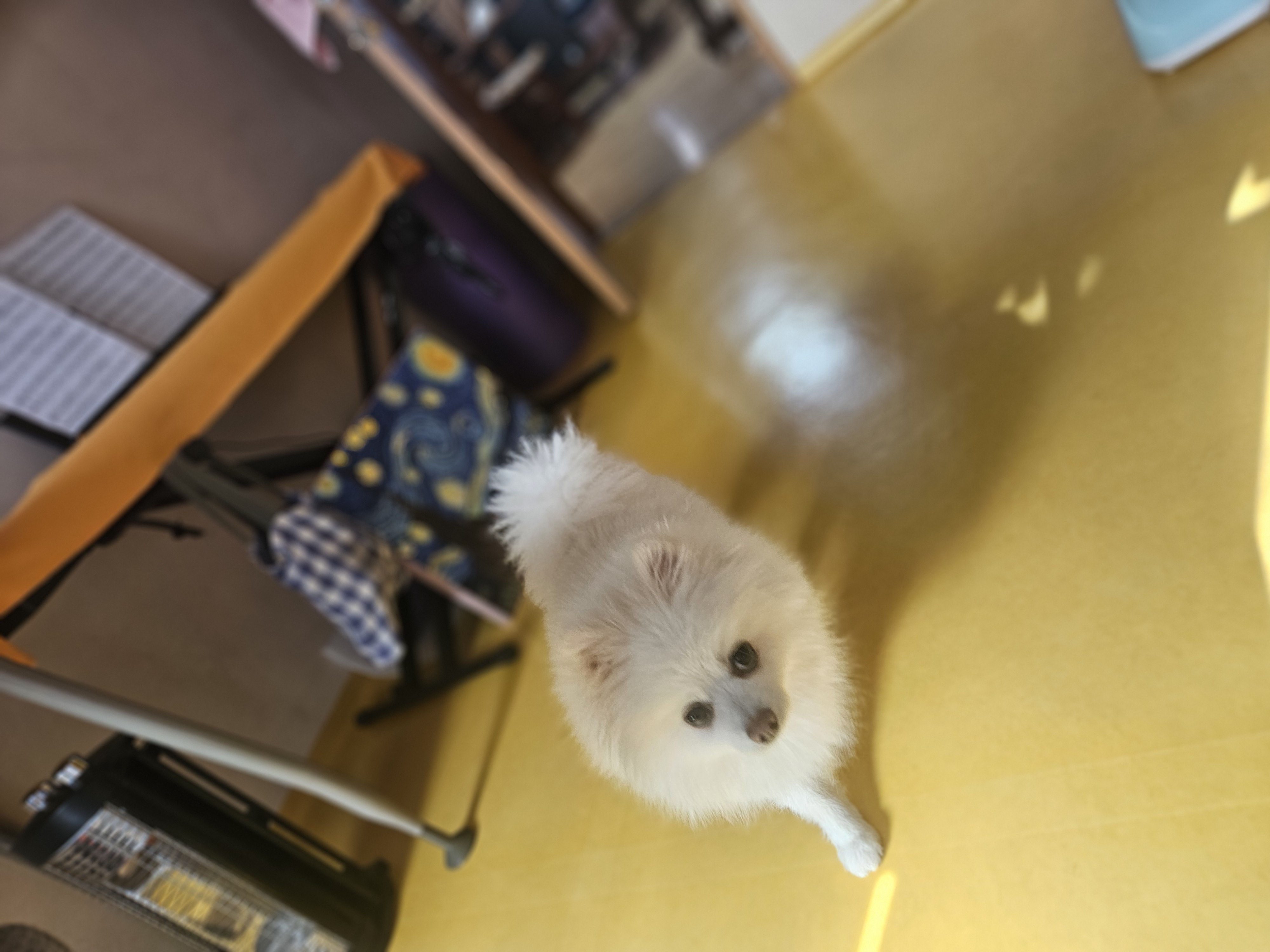 오키와의 일주일