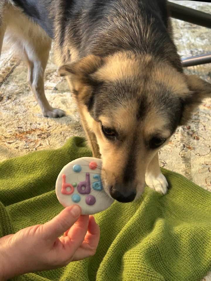 [해외입양] 캐나다 토론토에서 전해온 '마무와 해민이' 소식💌