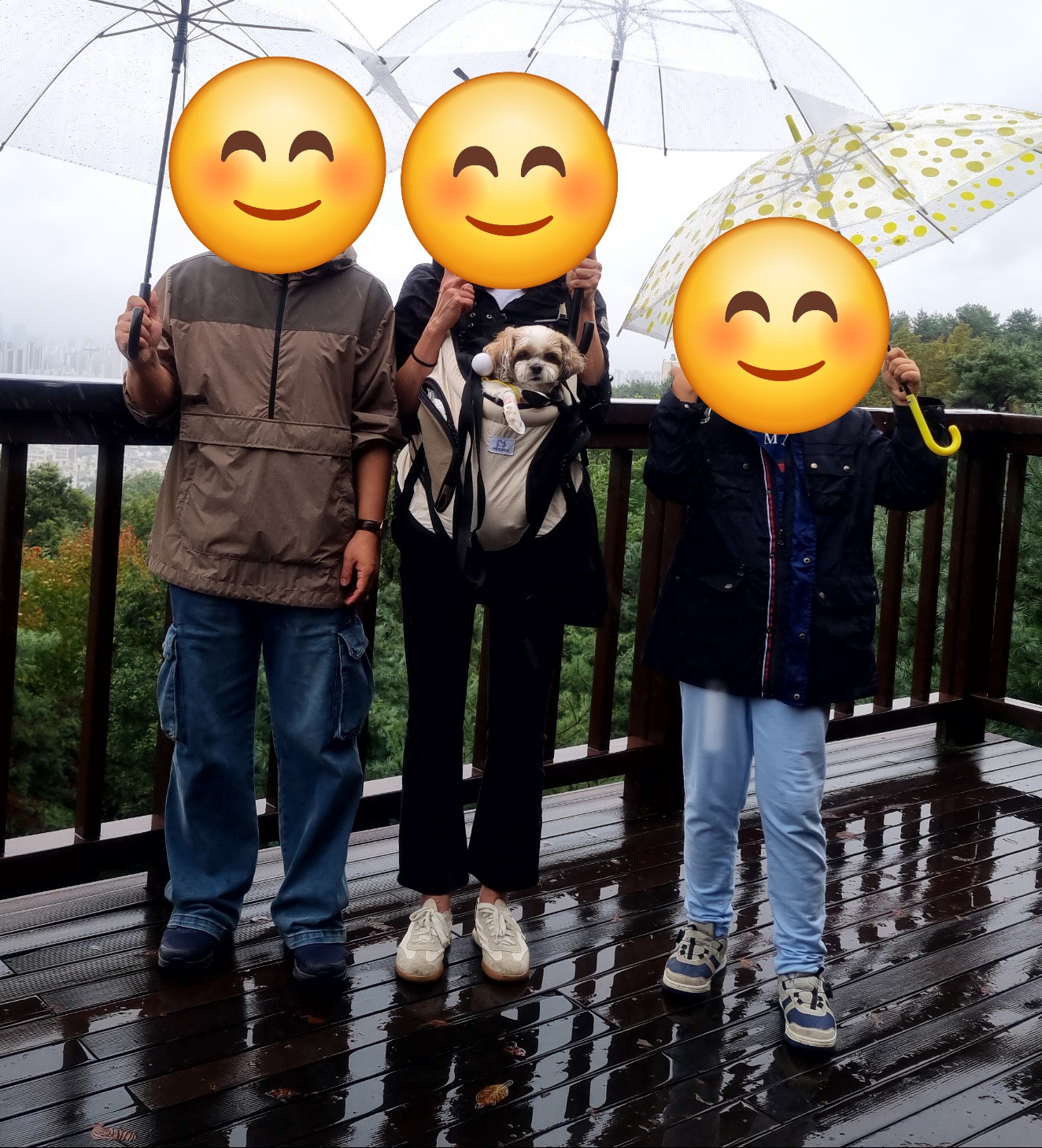 (에밀리_양구28) 튼튼이 이년차 후기