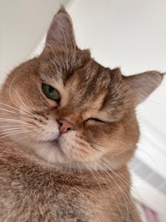 두두 (구 삼월이) 3개월 후기 🧡