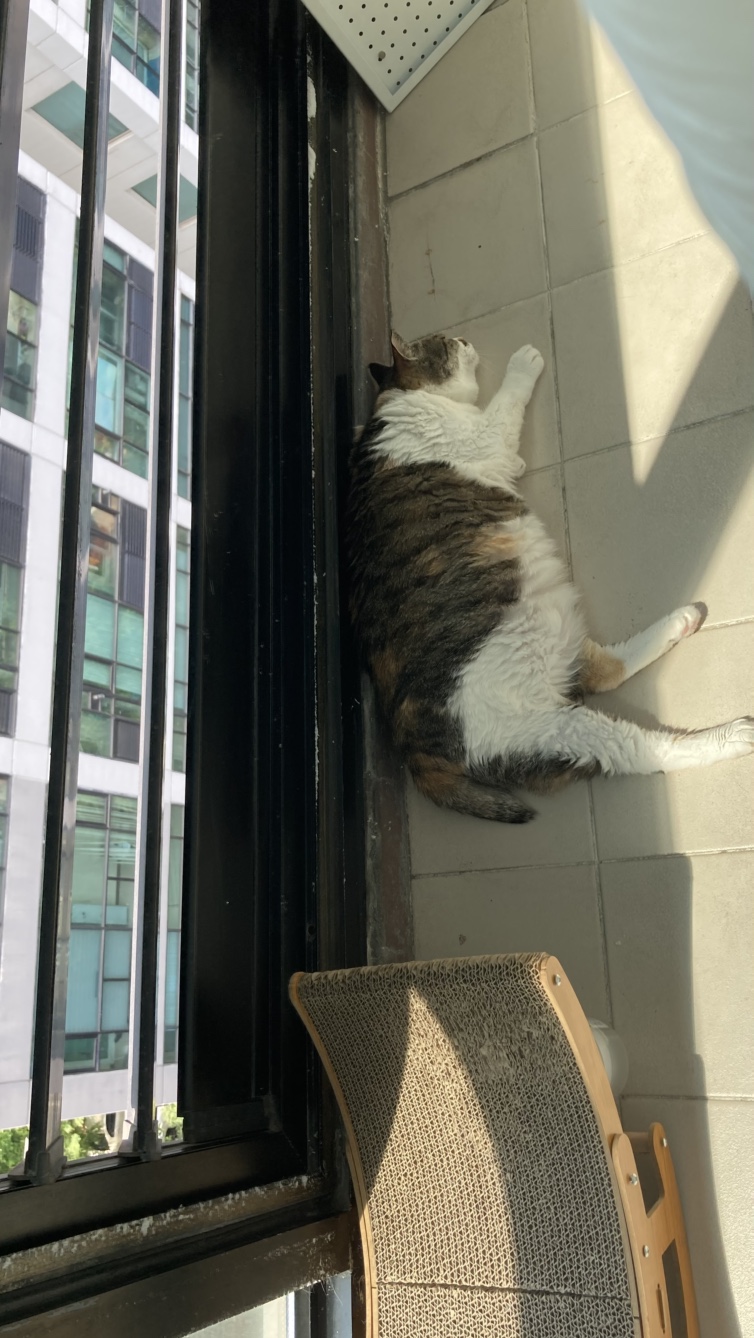 티니와 3년