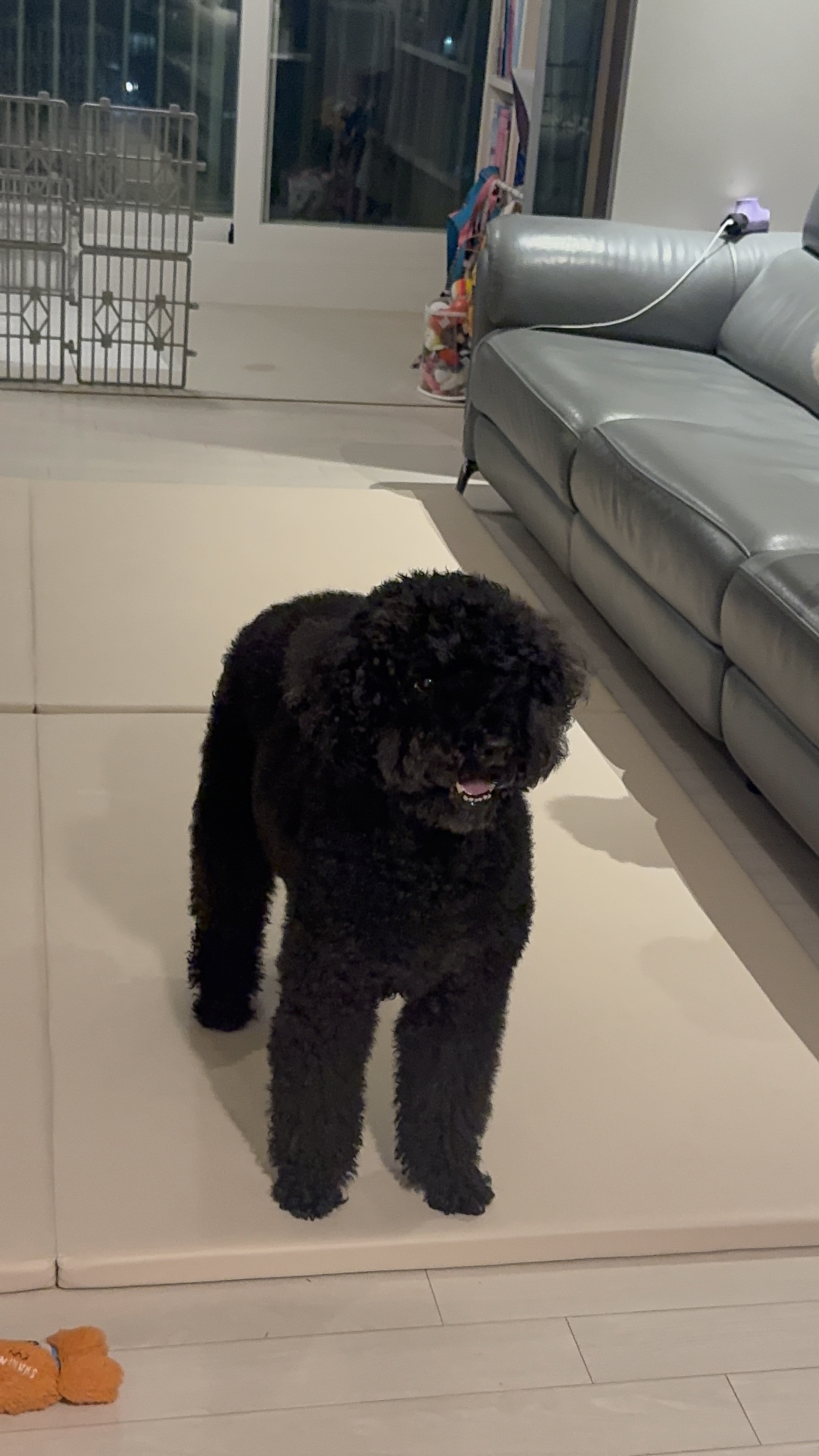 헤라와 함께한 너무 소중한 시간