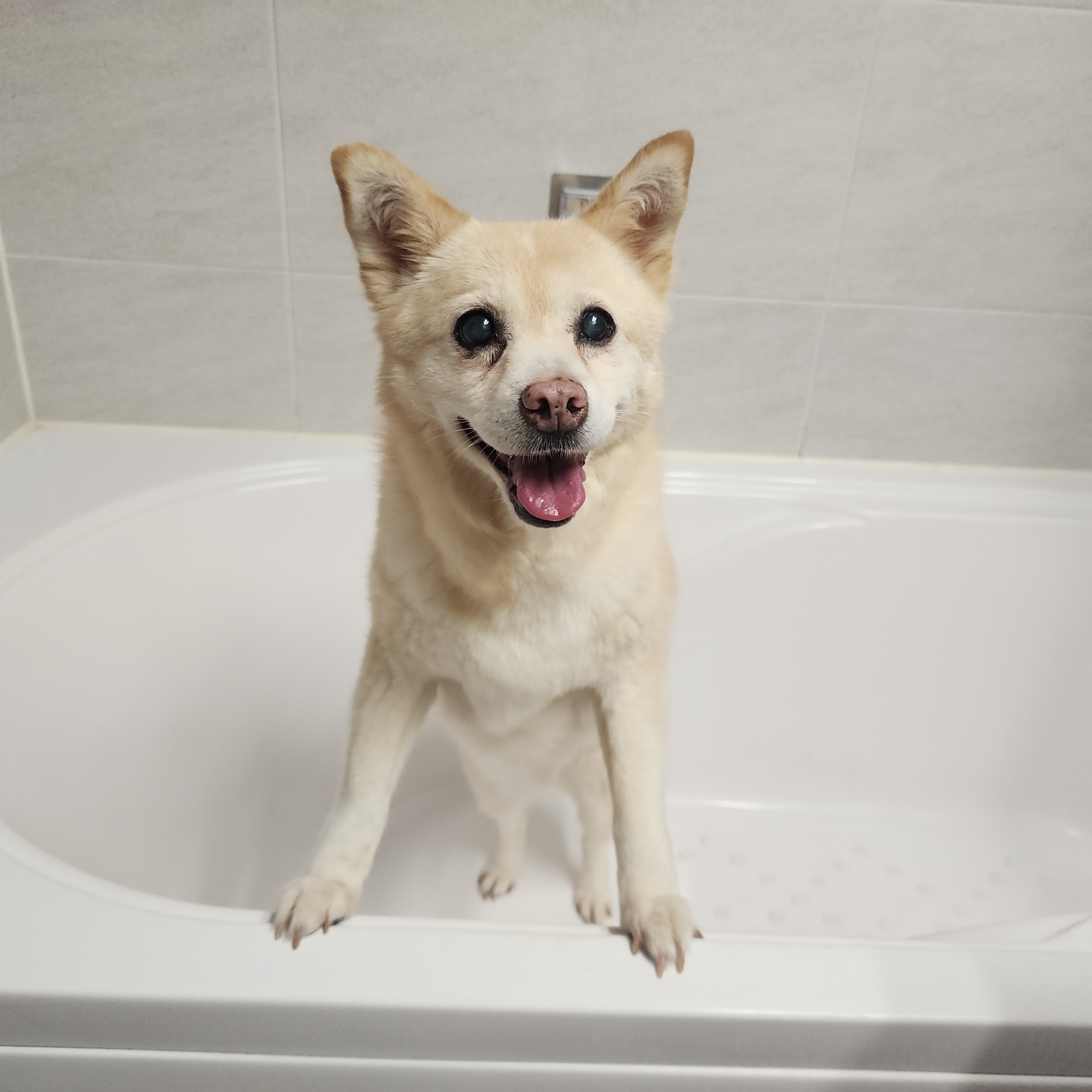 해피추석! 오랜만에 레이입니다:)