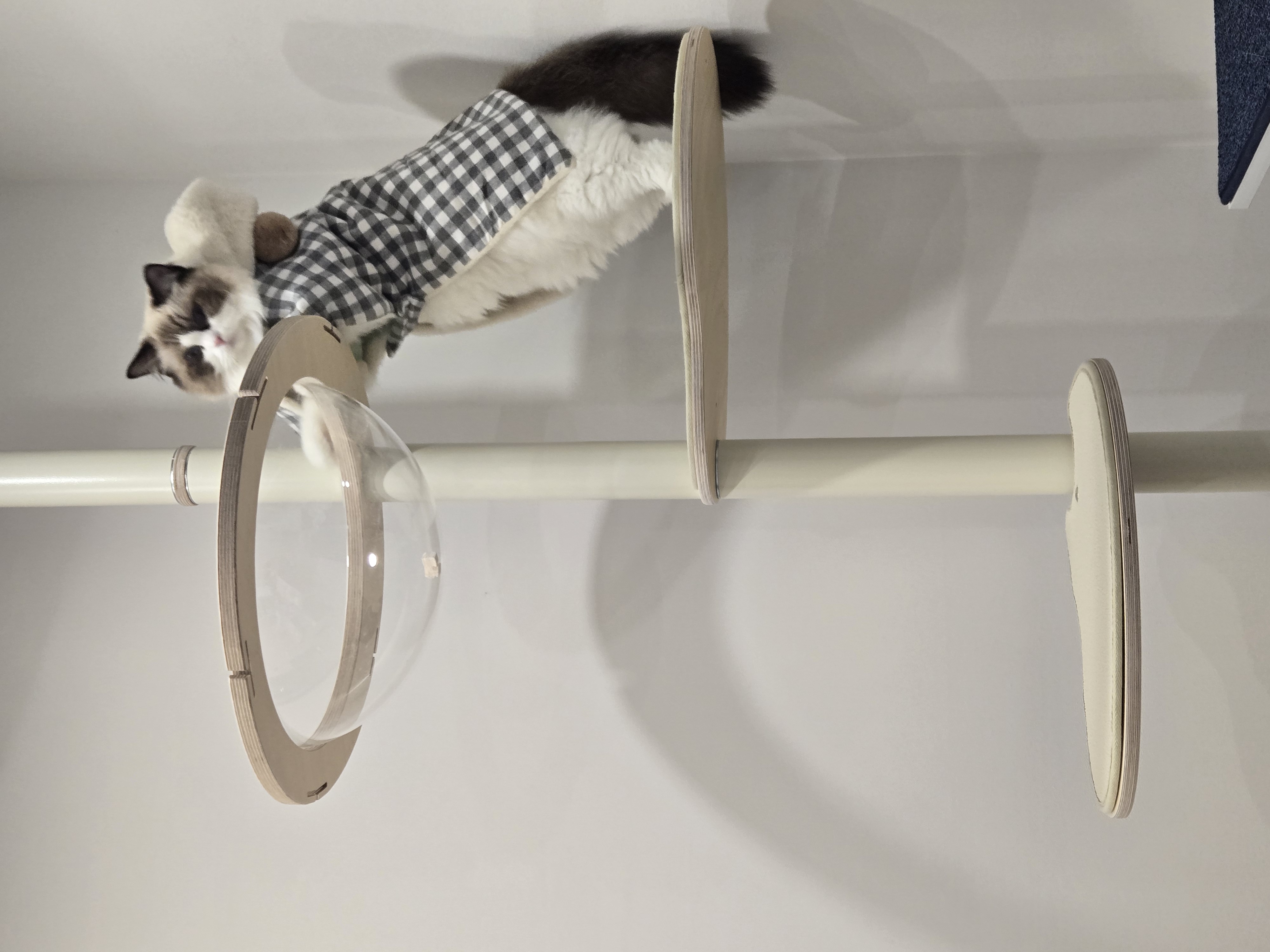 미야오(마시) 우리는 가족 : 3개월 차