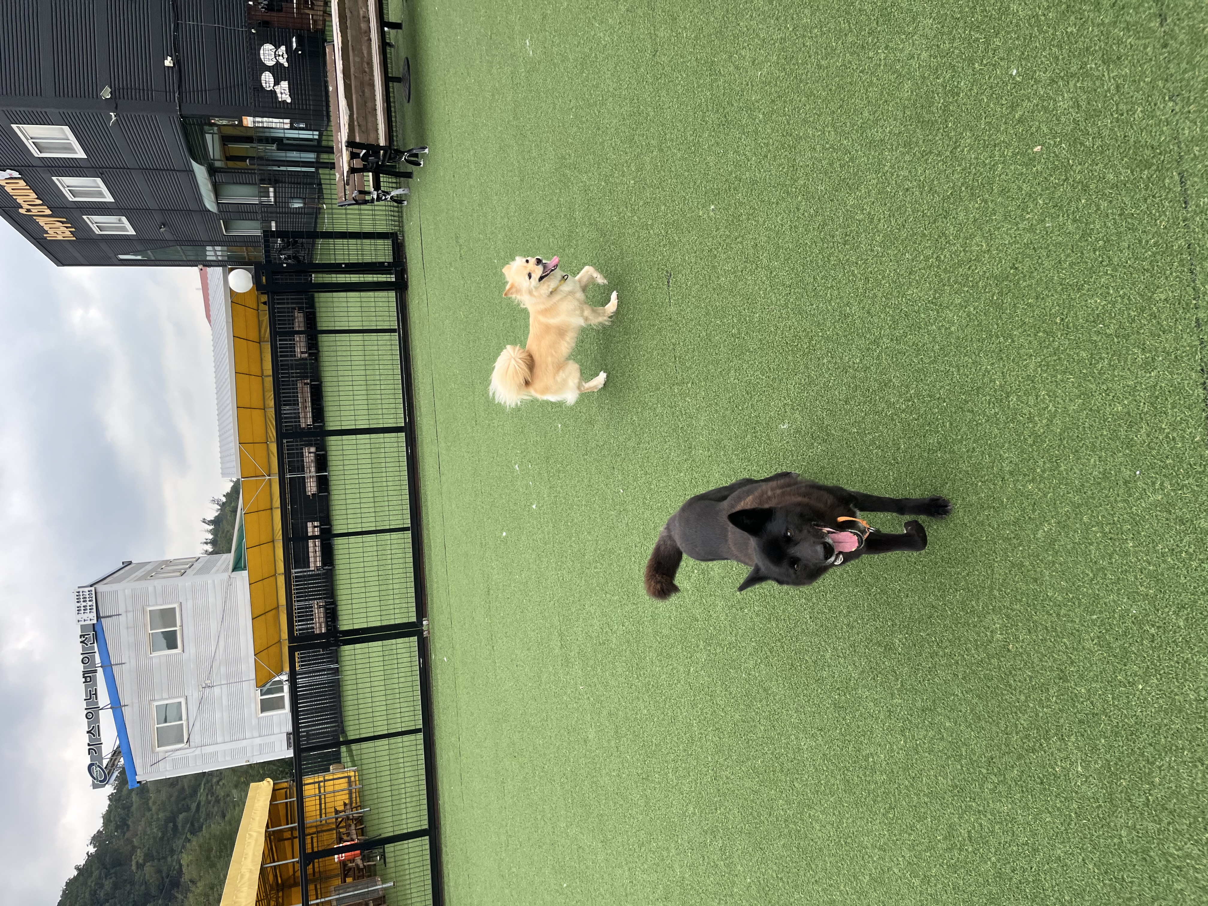 반달이와 친해지기