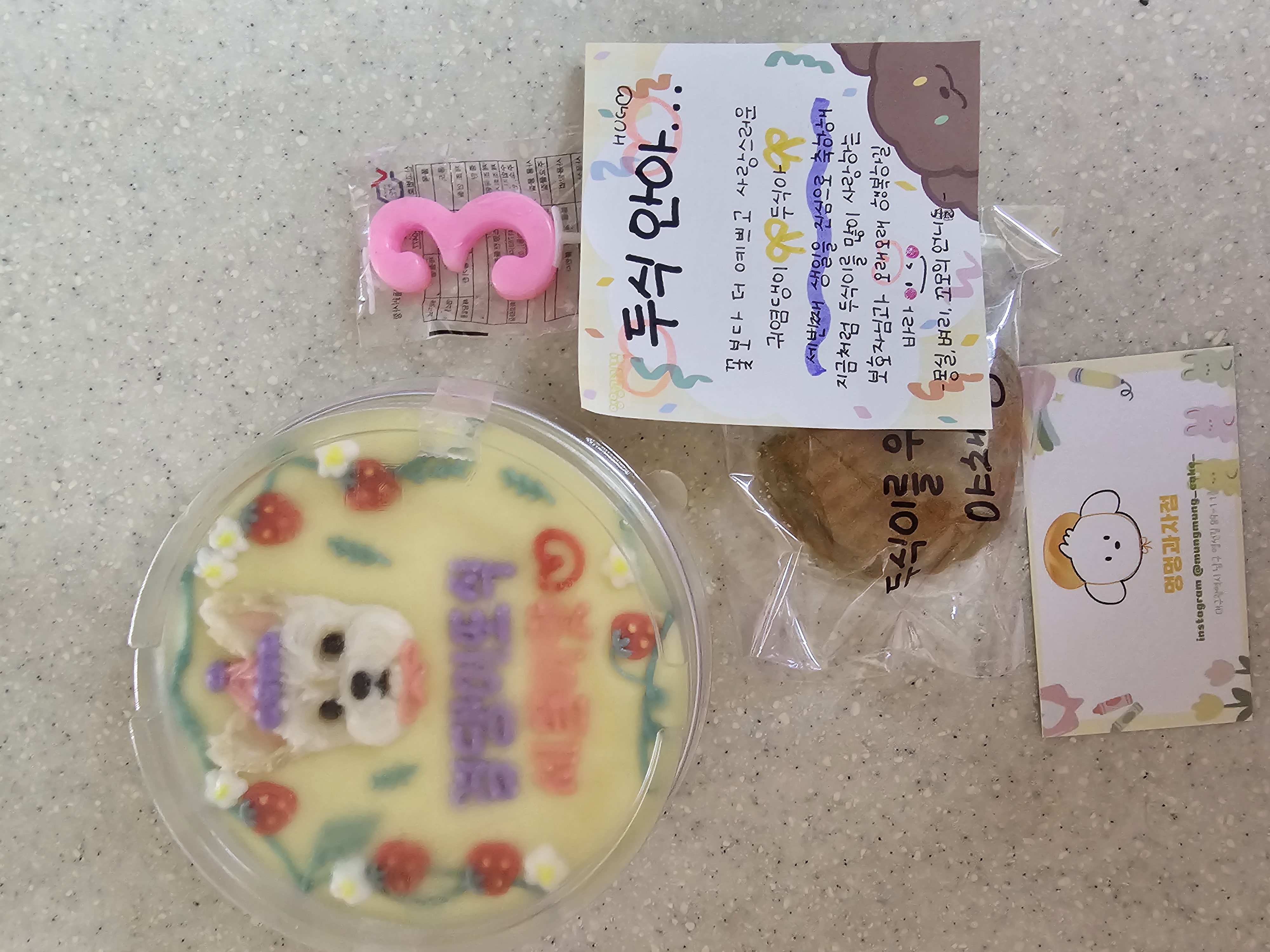 소중한 가족 두식이(구 엘디)3년 후기