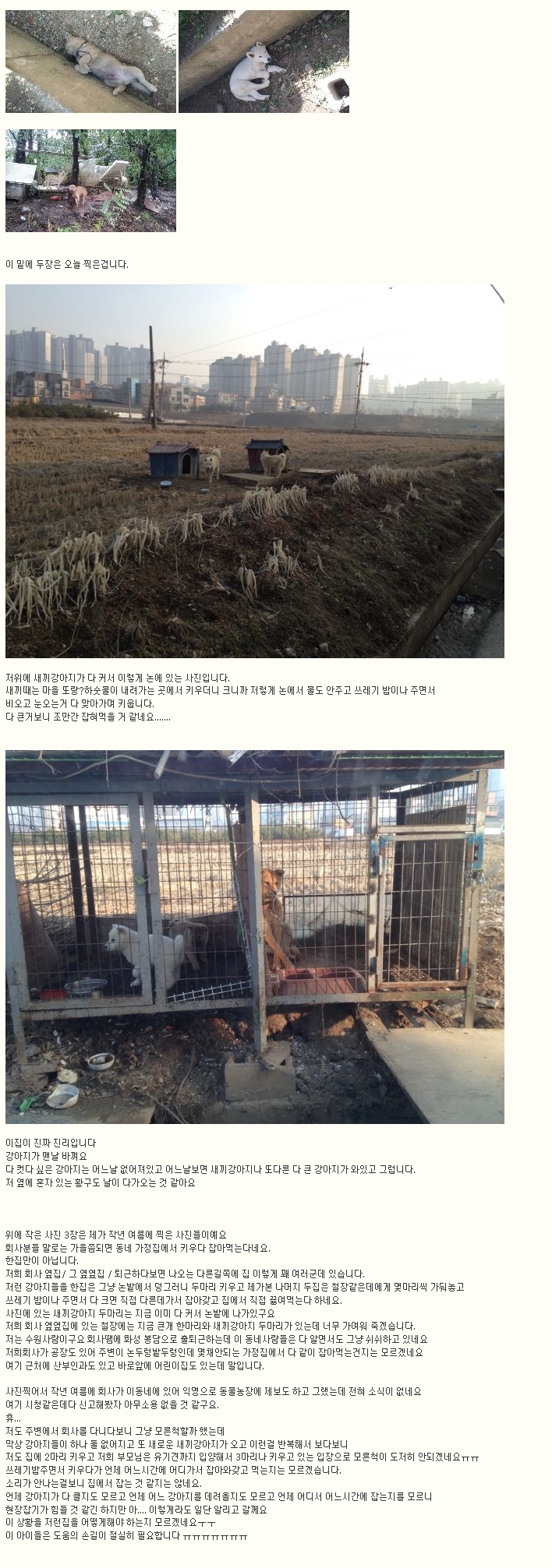 가정집에서 개 잡아 먹는 거.. 법적으로 문제 없나요?
