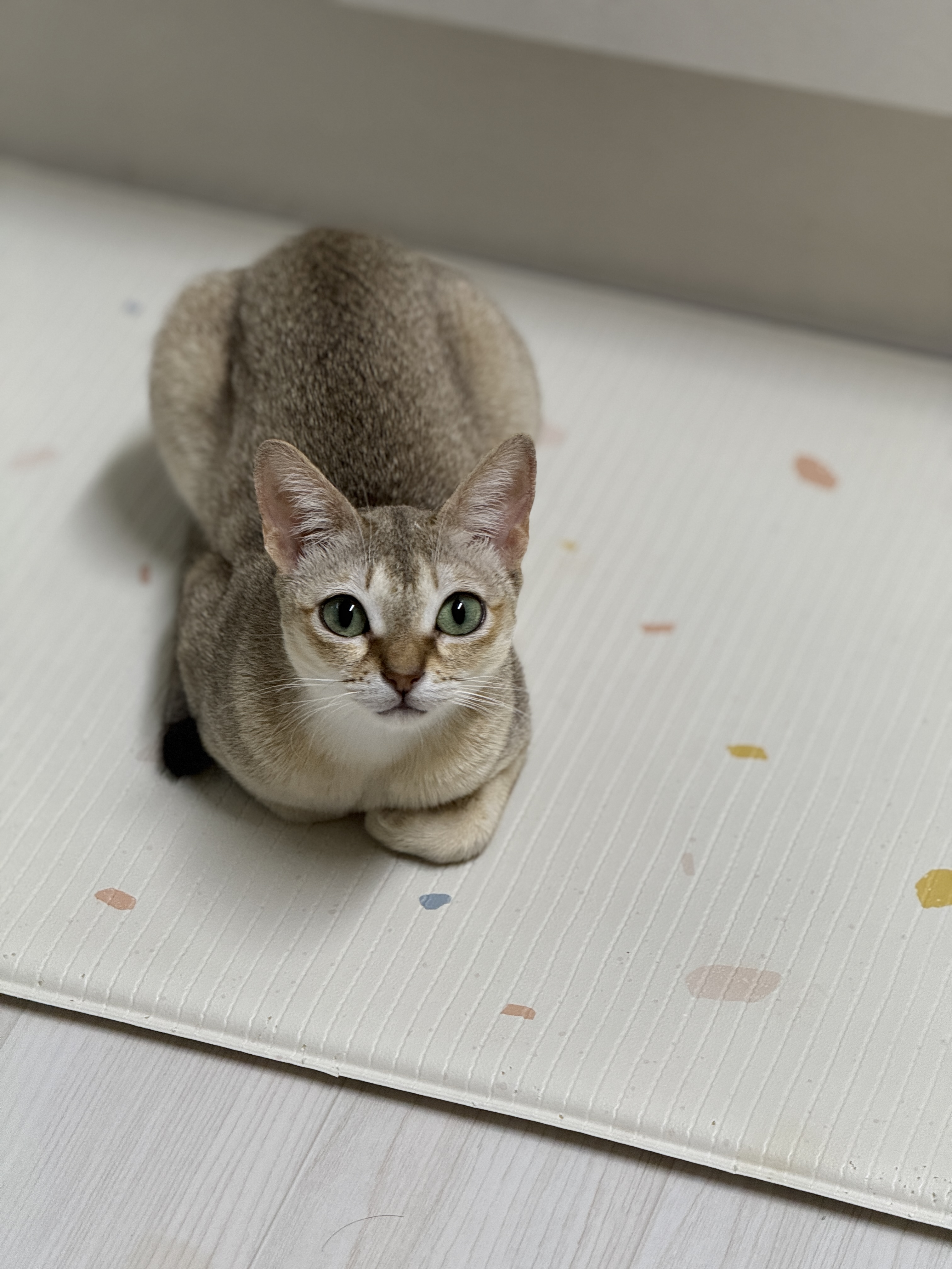 로즈(짜짜)와 함께 한 세 달