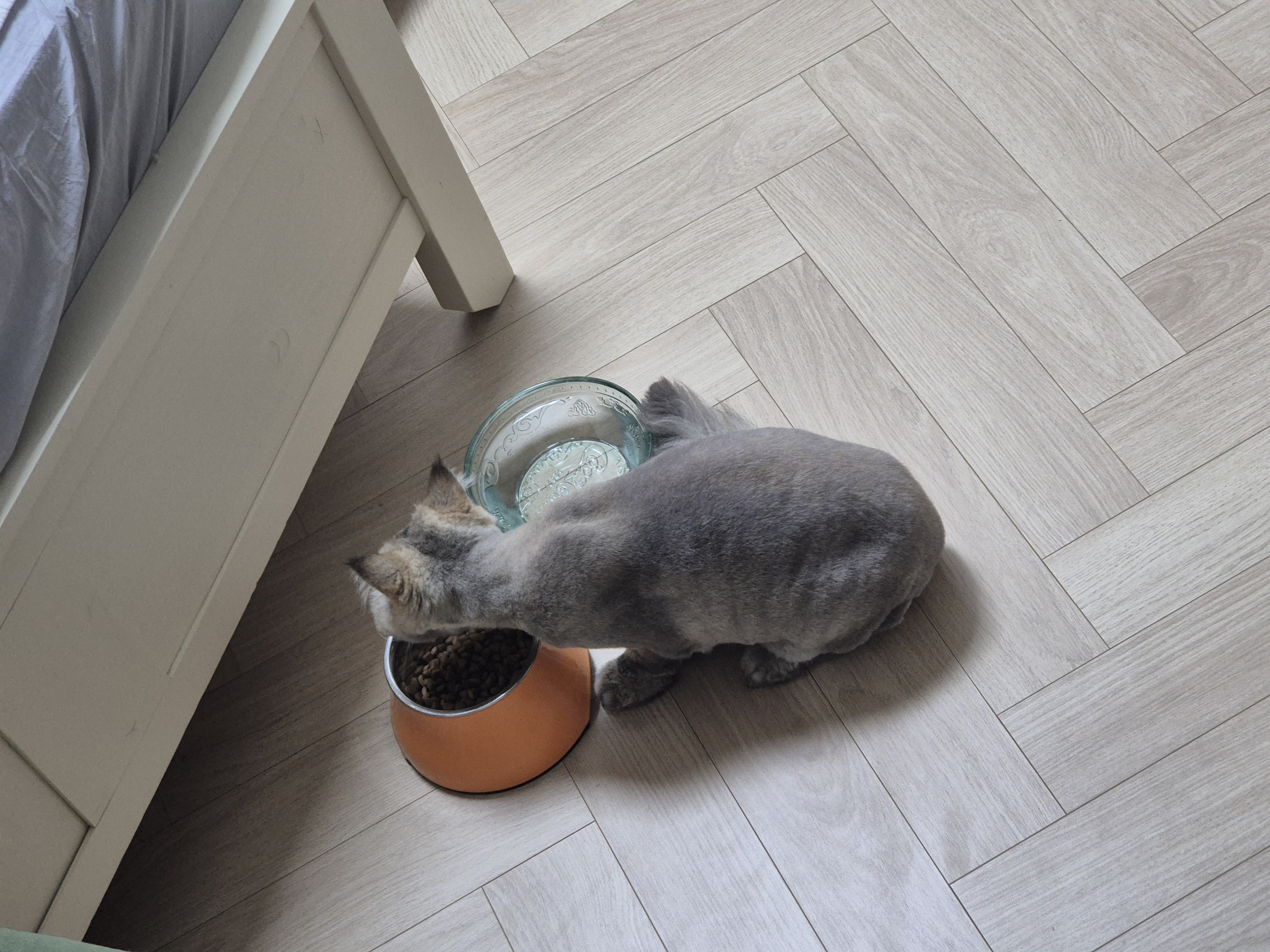 밤장이 온지 일주일 