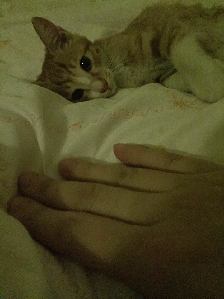 혹시나 해서 도움의손길을..