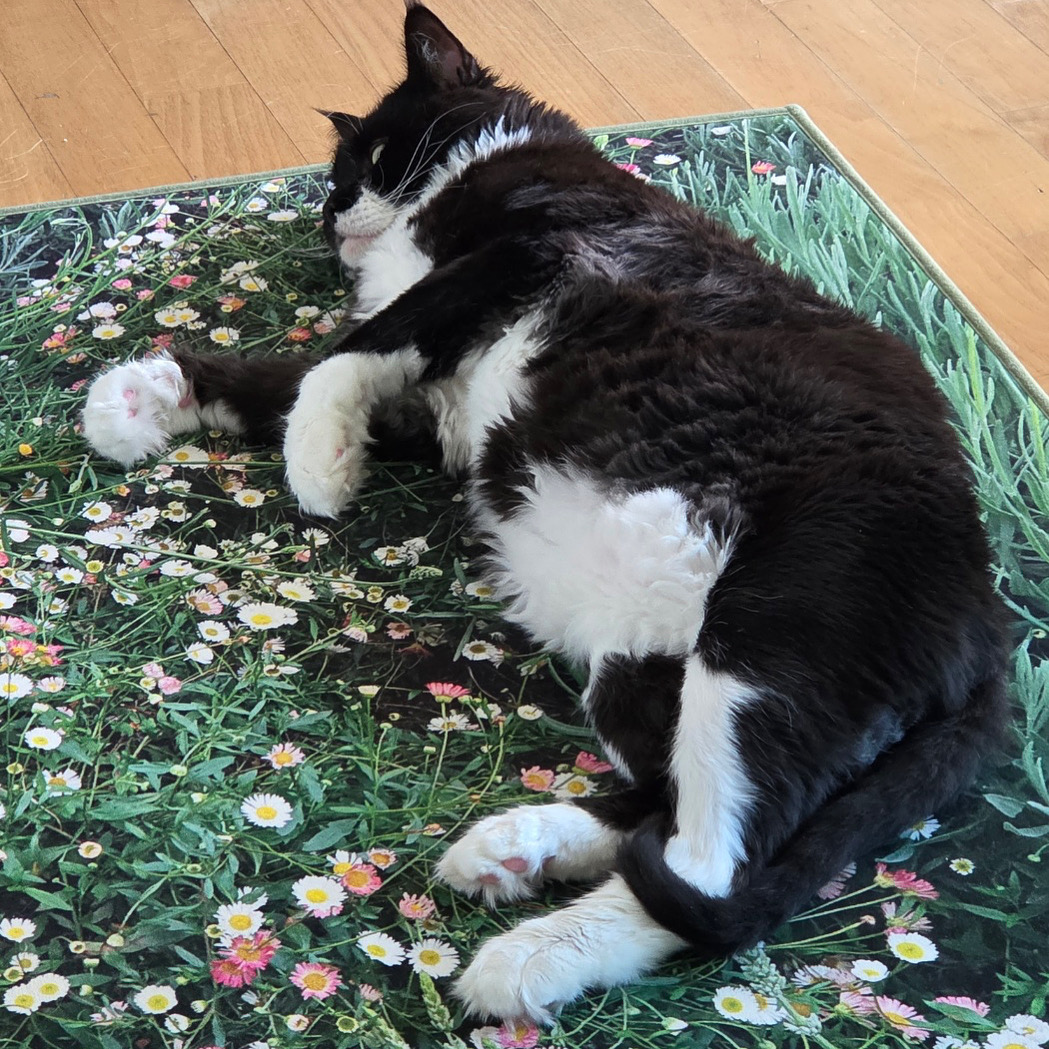 산이(인쿤이)와의 1년