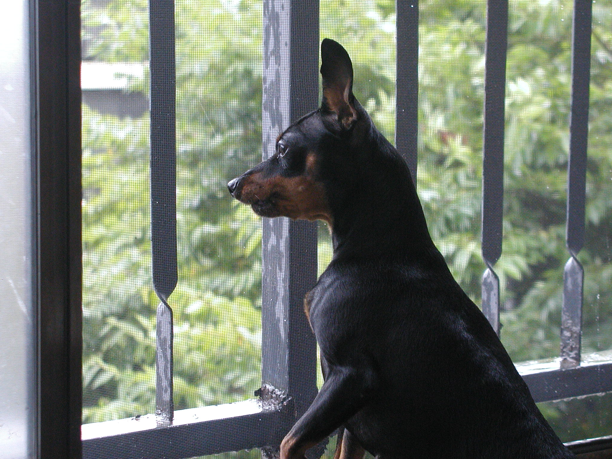 우리 민이좀 보세요