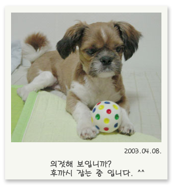 제가 갖고 있는 쭈글이 사진 하나