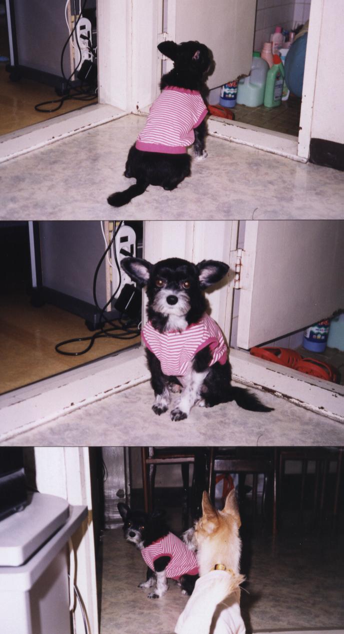 차돌이는 엄마를 넘 좋아해요.