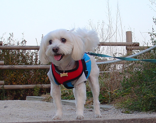 하늘공원에서_7