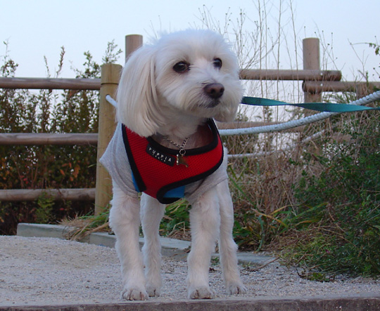 하늘공원에서_6