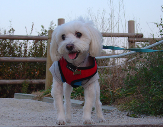 하늘공원에서_5