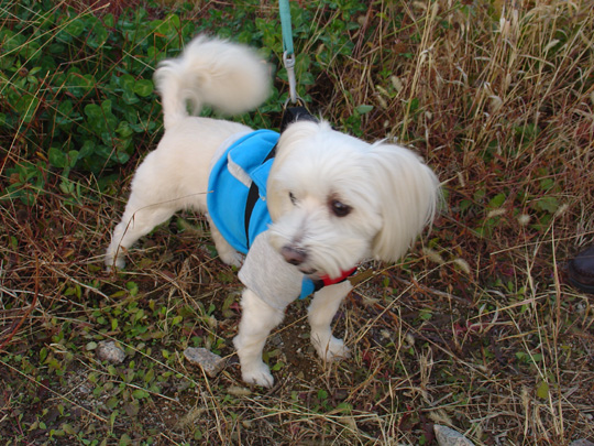 하늘공원에서_4