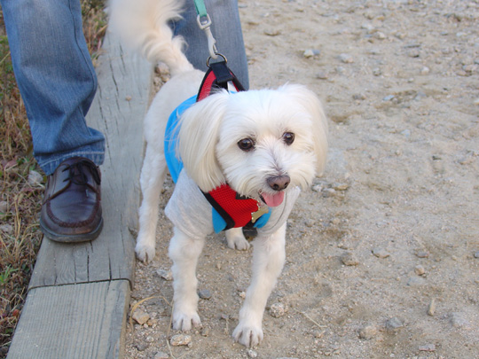 하늘공원에서_1