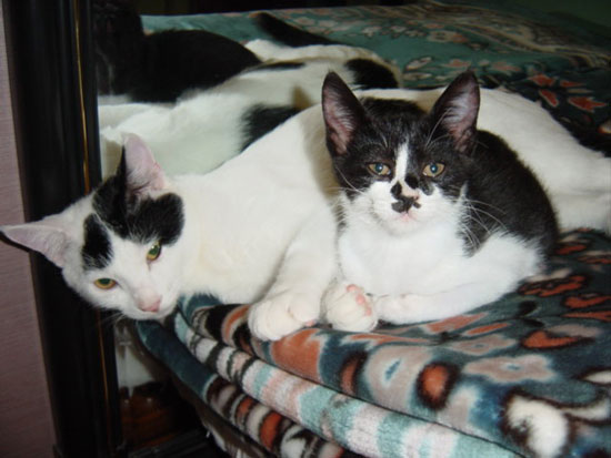 이뻐진 난이입니다