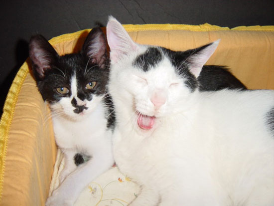 마지막사진-마야의 하품입니다!