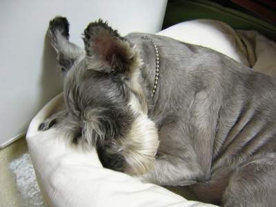 어제는 슈지만난지 3년 되던 날