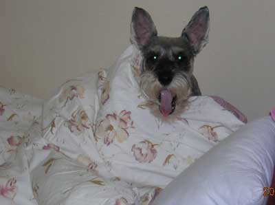 어제는 슈지만난지 3년 되던 날