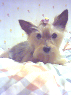 쭈니가 넘 이뻐서..^^