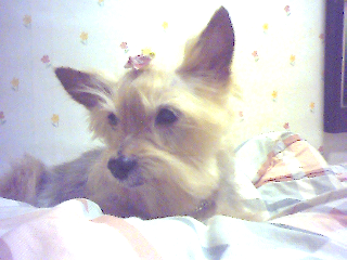 쭈니가 넘 이뻐서..^^