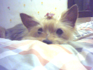 졸릴때는 이리 아기같아용 ^^