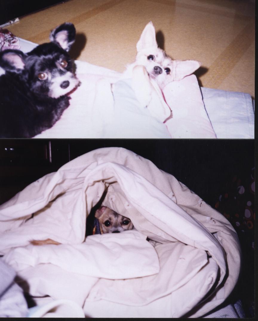 숨을때는 이렇게...