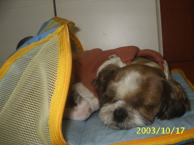 밤톨-아앙..쩝쩝쩝