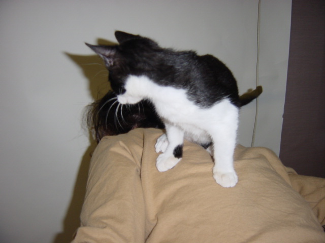 마야네 집입니다, 오바~2